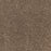 Radiant Beauty Polypropylene Burnished Carpet Textured 1