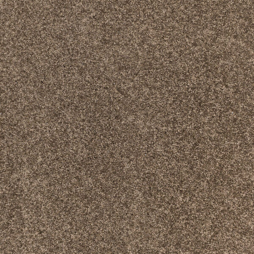 Radiant Beauty Polypropylene Burnished Carpet Textured 1