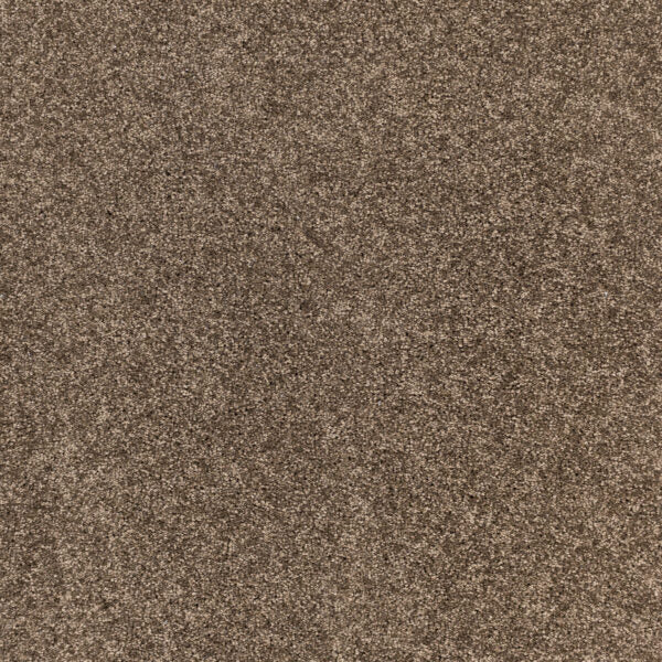 Radiant Beauty Polypropylene Burnished Carpet Textured 1