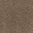Radiant Beauty Polypropylene Burnished Carpet Textured 2