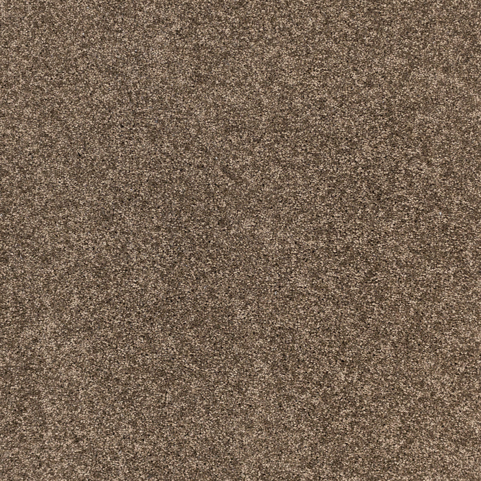 Radiant Beauty Polypropylene Burnished Carpet Textured 2