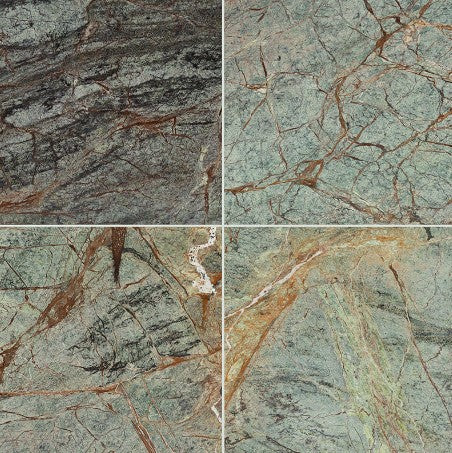 Rain Forest TRAIN1212