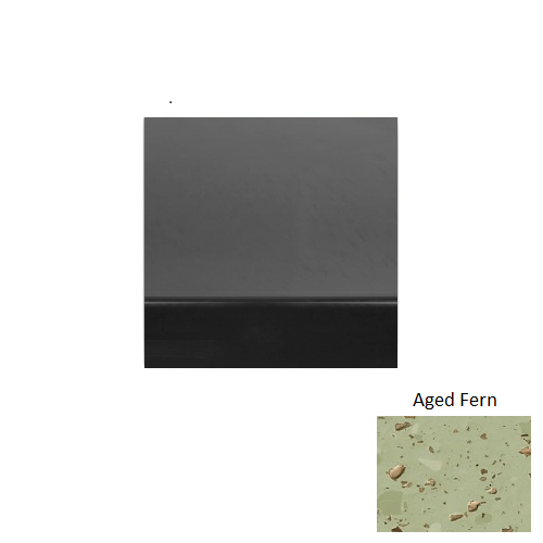 Aged Fern R663