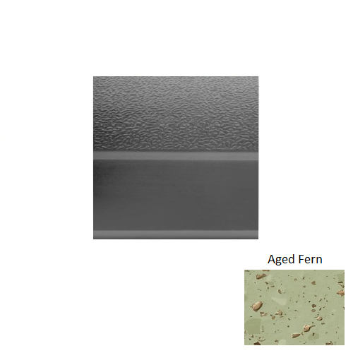 Aged Fern R663