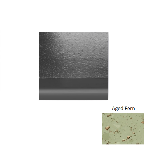 Aged Fern R663