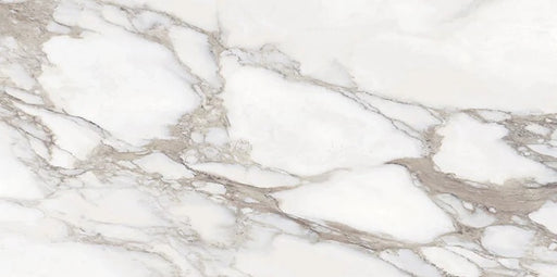 Classica Renoir 1101491