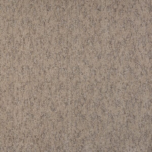 Visionary Polypropylene Residential Carpet Pattern 1