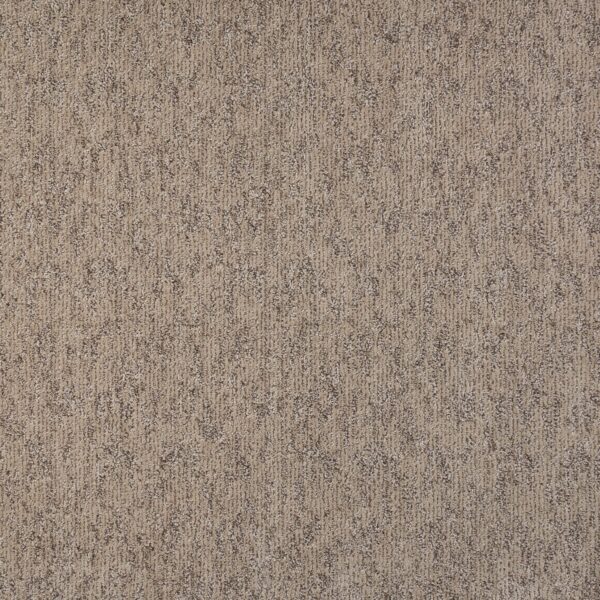 Visionary Polypropylene Residential Carpet Pattern 1