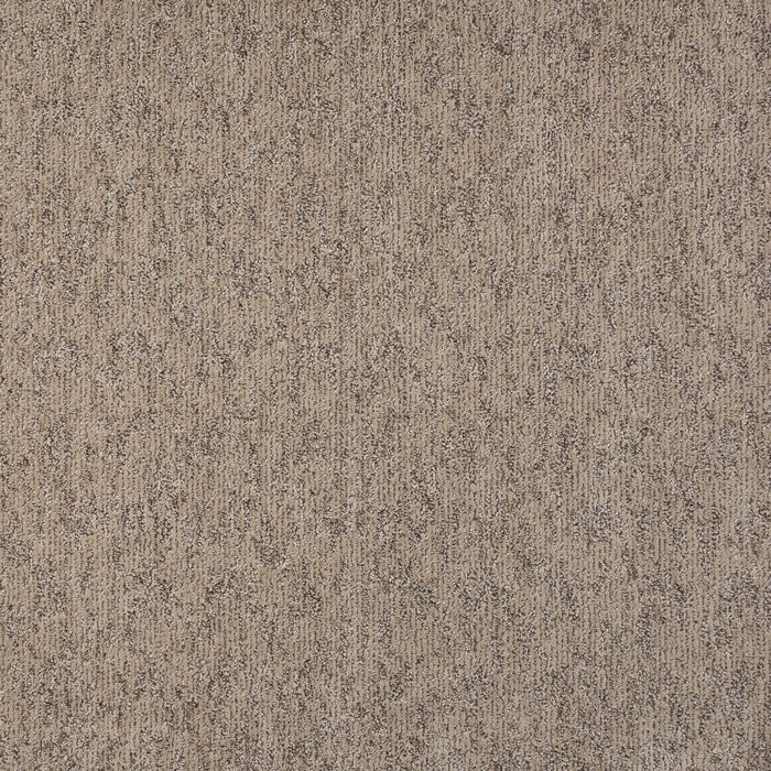 Visionary Polypropylene Residential Carpet Pattern 2