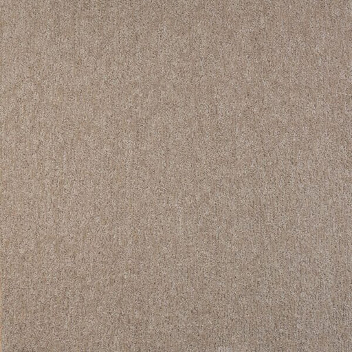 Visionary Polypropylene Delicacy Carpet Pattern 1