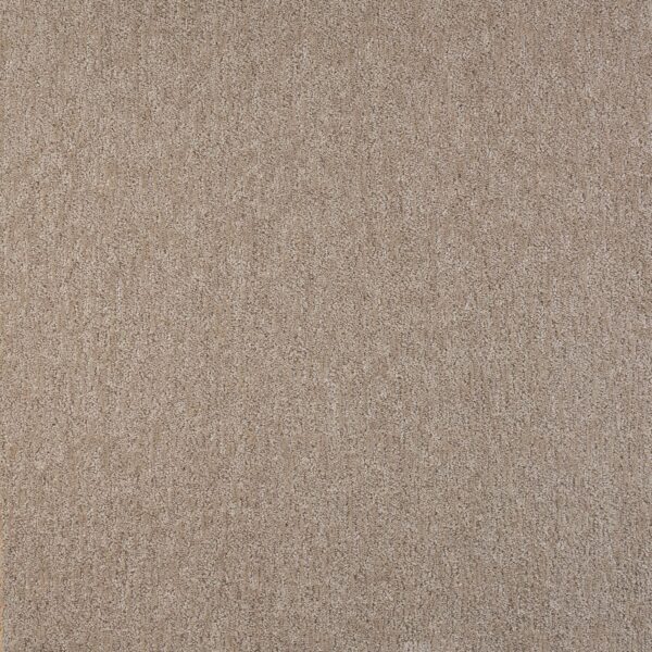 Visionary Polypropylene Delicacy Carpet Pattern 1