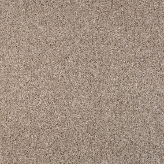 Visionary Polypropylene Delicacy Carpet Pattern 2