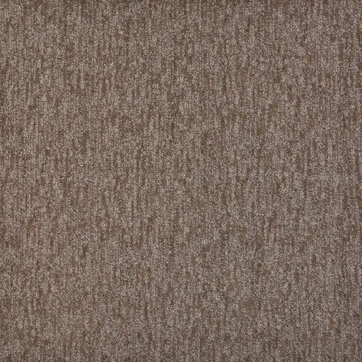 Visionary Polypropylene Filaments Carpet Pattern 1