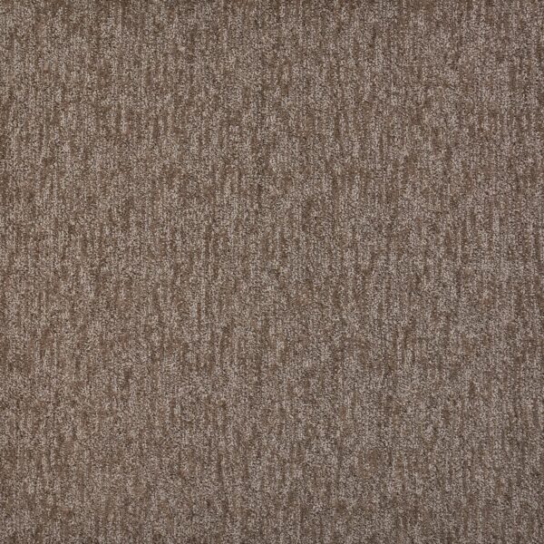 Visionary Polypropylene Filaments Carpet Pattern 1