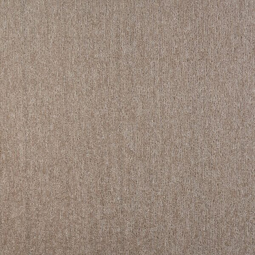 Visionary Polypropylene Intricate Carpet Pattern 1