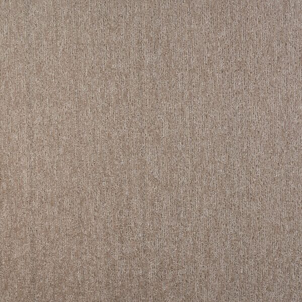 Visionary Polypropylene Intricate Carpet Pattern 1