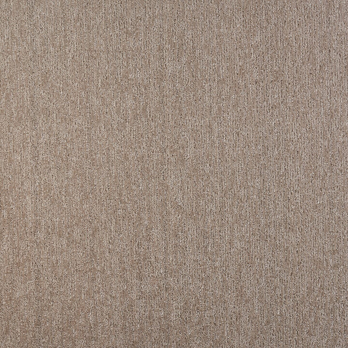 Visionary Polypropylene Intricate Carpet Pattern 2