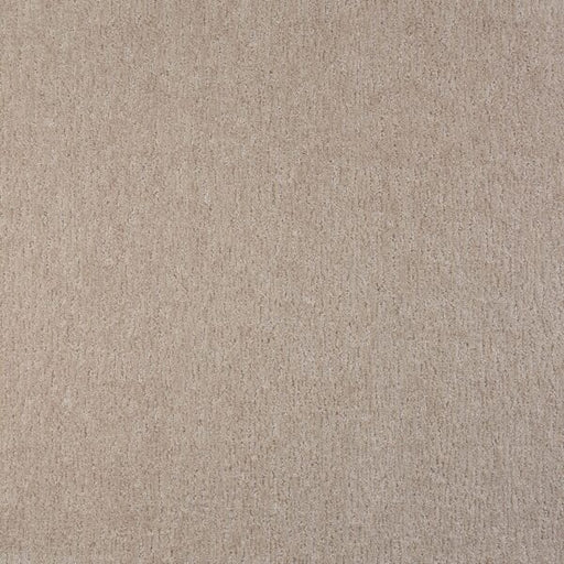 Visionary Polypropylene Lace Carpet Pattern 1