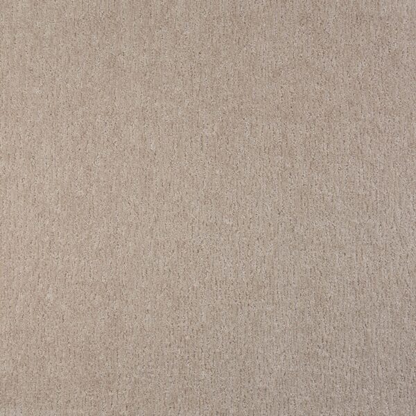 Visionary Polypropylene Lace Carpet Pattern 1