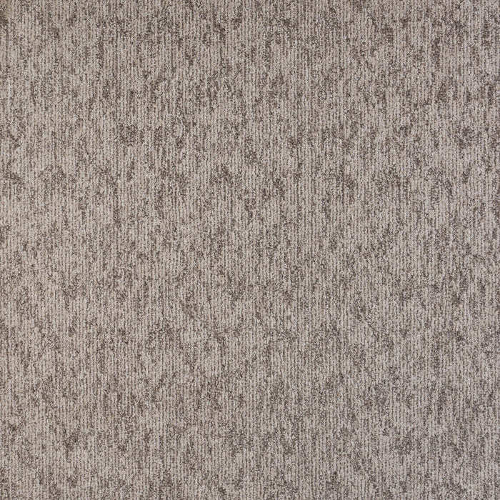 Visionary Polypropylene Refined Carpet Pattern 2