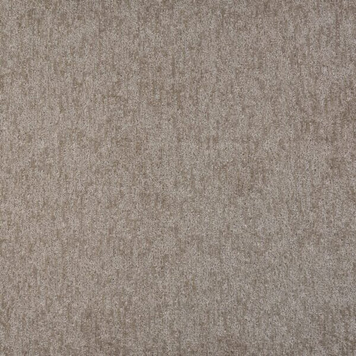 Visionary Polypropylene Silver Carpet Pattern 1