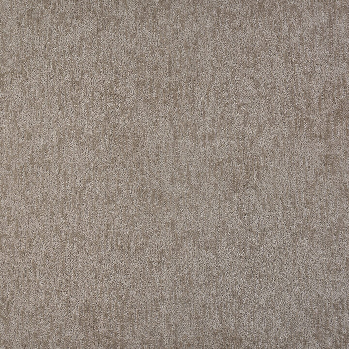 Visionary Polypropylene Silver Carpet Pattern 2