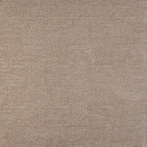 Whimsical Polypropylene Delicacy Carpet Pattern 1
