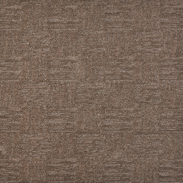 Whimsical Polypropylene Filaments Carpet Pattern 2