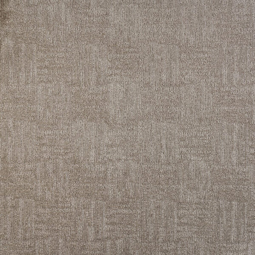 Whimsical Polypropylene Silver Carpet Pattern 1