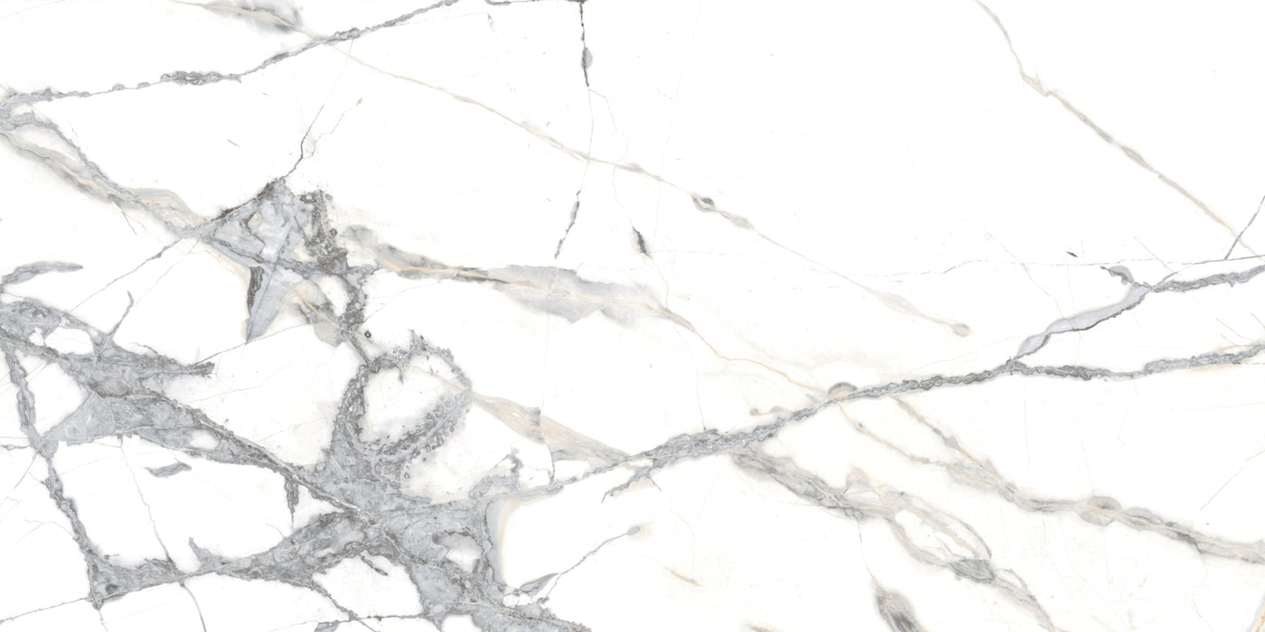 Rialto Grand Porcelain Beige Tile Matte 1