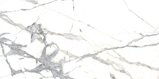 Rialto Grand Porcelain Beige Tile Matte 1