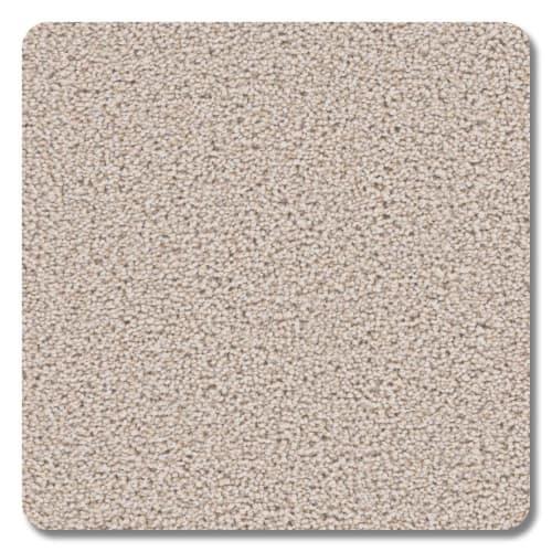 Riverbend Polyester Alabaster Carpet Textured 2