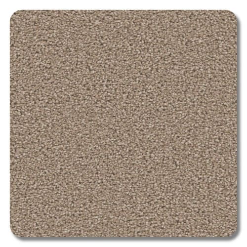 Riverbend Polyester Mocha Carpet Textured 2