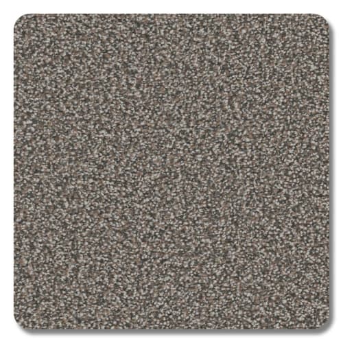 Riverbend Polyester Sierra Carpet Textured 2