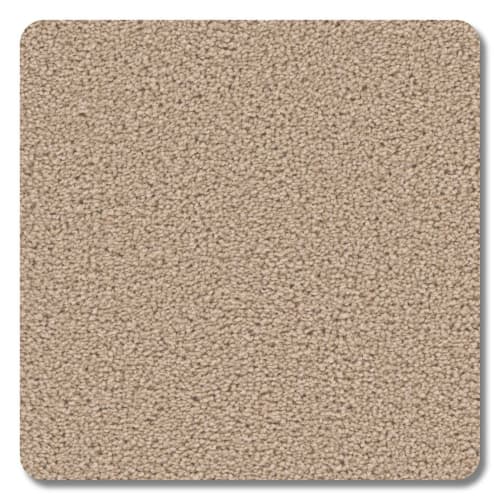 Riverbend Polyester Westwood Carpet Textured 2