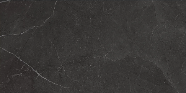 Riviera Nero Venato Porcelain Tile - Honed