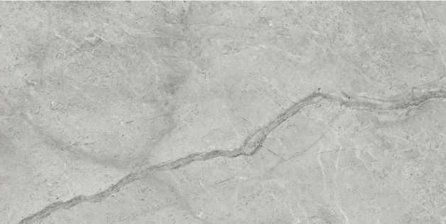 Riviera Paradiso Argento Porcelain Tile - Honed