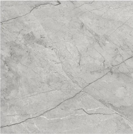 Riviera Paradiso Argento Porcelain Tile - Honed