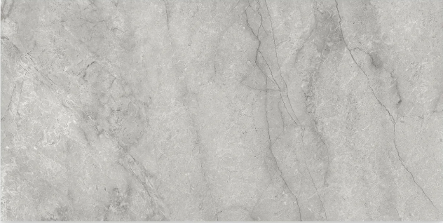 Riviera Paradiso Argento Porcelain Tile - Honed