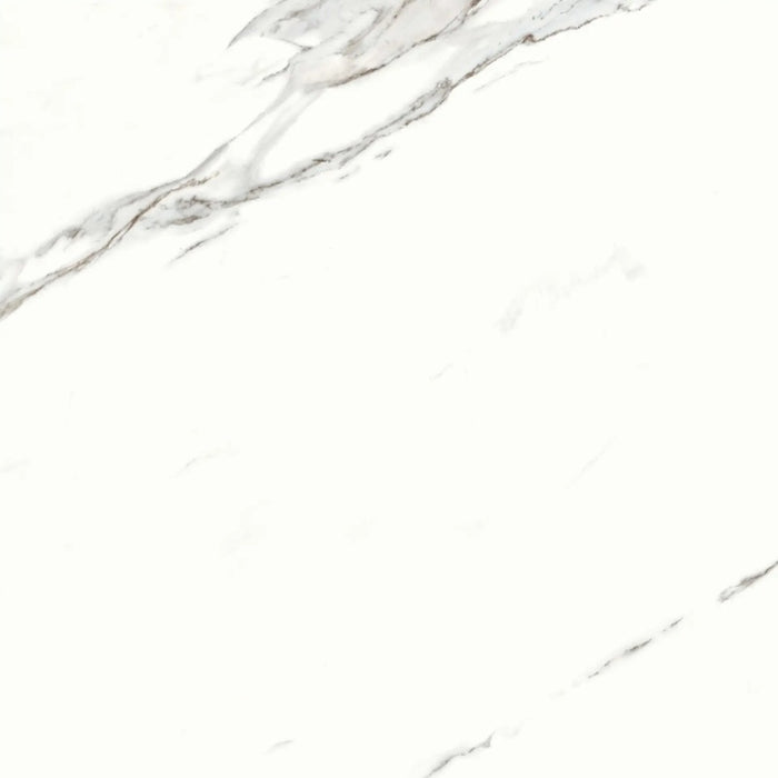 Calacatta Porcelain Superwhite Rec Tile Polished 1