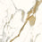 Theia Porcelain Tile Polished 1