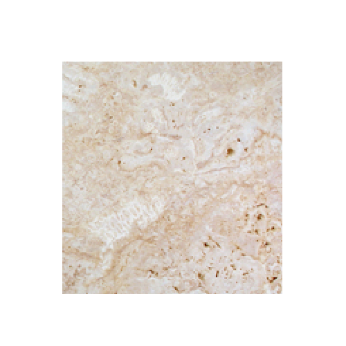 Full Tile Sample - Rustic Shellstone Tile - 12
