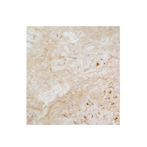 Rustic Natural Cleft Shellstone Tile - 12" x 24"