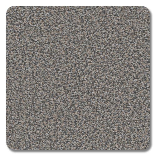 Valley View Slate Polyester Carpet - Textured