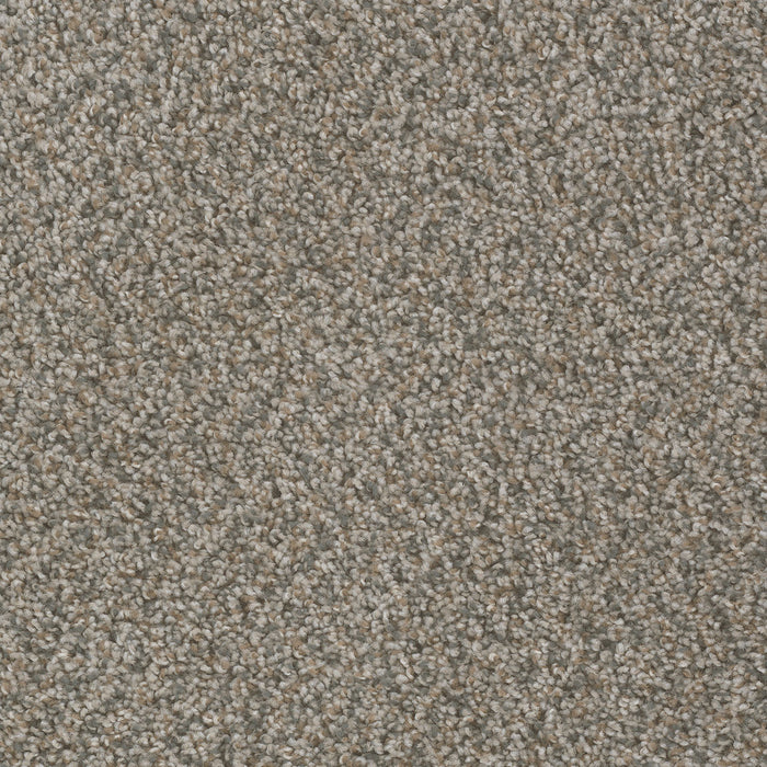 Sp250 Polyester Carbon Crystals 255 Carpet Textured 1