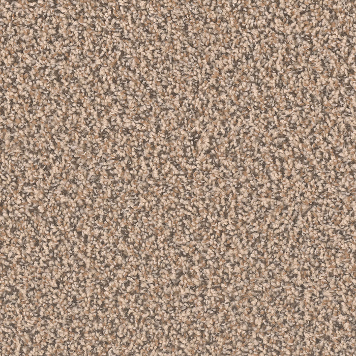 Sp250 Polyester Shoreline 367 Carpet Textured 1