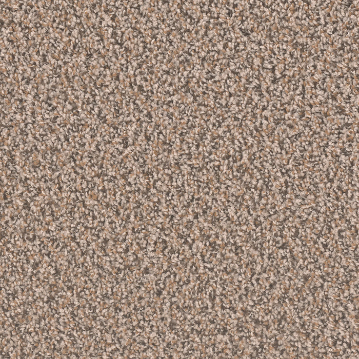 Sp250 Polyester Gingerbread 390 Carpet Textured 1