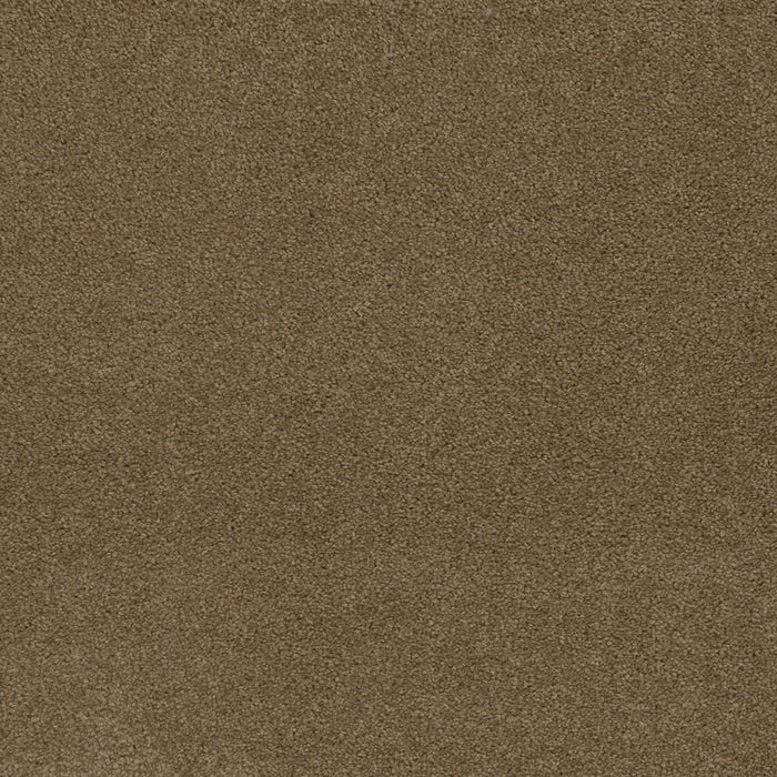 Sp250 Polyester Honey Beige 510 Carpet Textured 1
