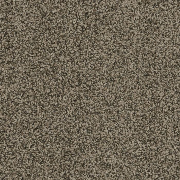 Sp250 Polyester Agate 512 Carpet Textured 1