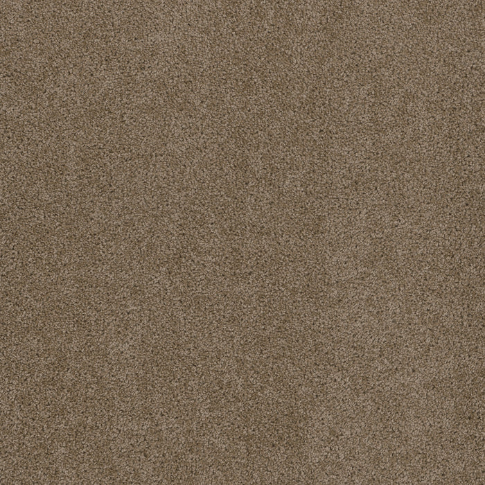 Sp250 Polyester Doeskin 530 Carpet Textured 1
